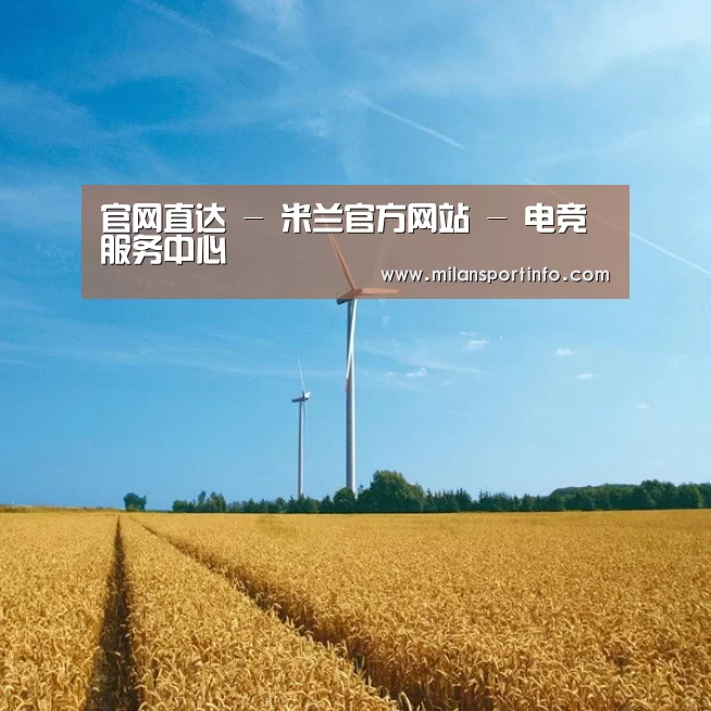 风能