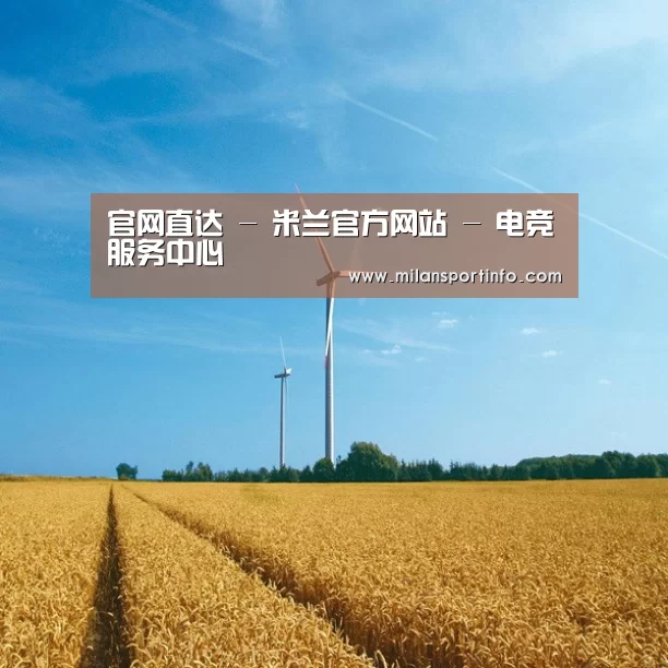 风能