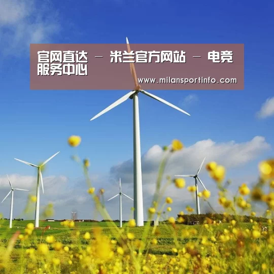 风能