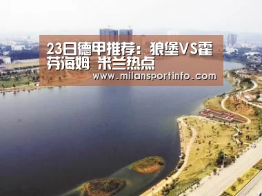 23日德甲推荐:狼堡VS霍芬海姆_米兰热点(图2) 米兰热点